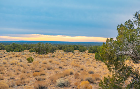 40 Acre Ranch with NO HOA in Apache County, AZ (PID #124)