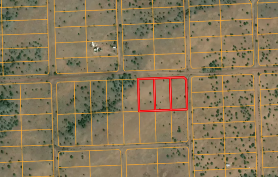 Five Contiguous 1.1 Acre Lots in Concho Valley – Apache County, AZ (PID #133-137) ** 3 Lots Left **