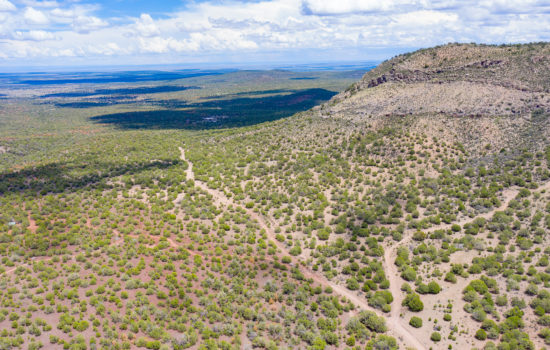 Beautiful Mountain Side Property – 39.51 Acres in Coconino AZ (PID #148)