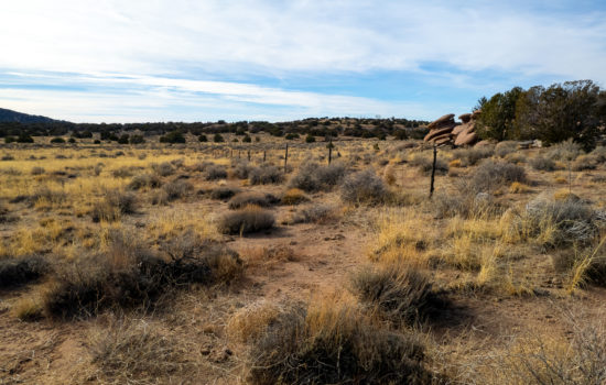 Breathtaking Views on 36.77 Acres in Navajo, AZ (PID# 171)
