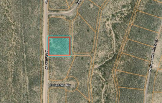 Beautiful 0.42 Acres in Cochise, AZ (PID #179)