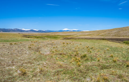 7.7 Acres near the beautiful Agate Creek in Park, CO (PID #184)