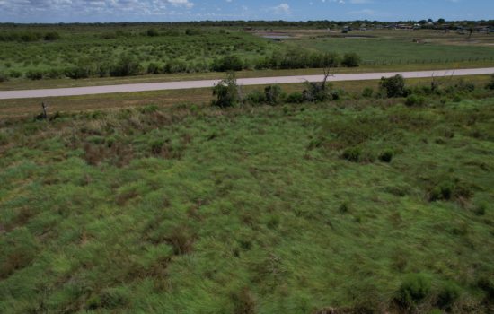 Lovely 1.32 Acre lot in Brazoria, TX (PID#194)