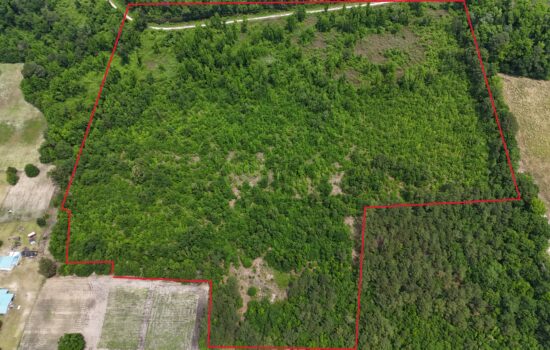 22.41 Acres in Robeson, NC (PID #204)